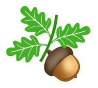 Nursery logo Acorn Nursery - Ain Khalid