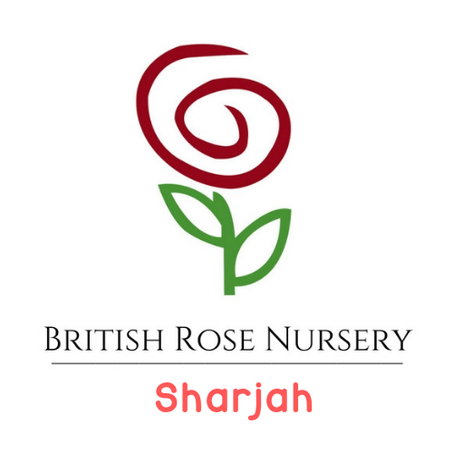 Nursery logo British Rose Nursery