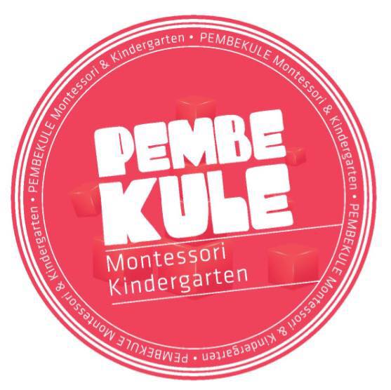 Nursery logo Pembe Kule Anaokulu