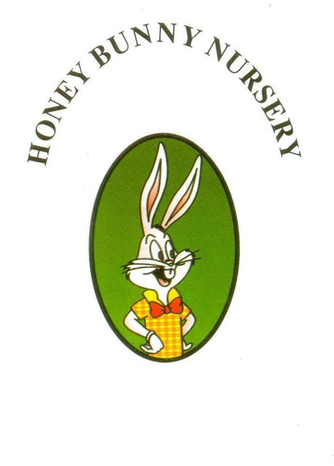 Nursery logo Honey Bunny Nursery
